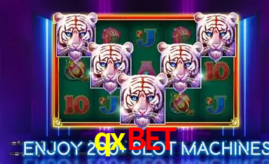 Casino Ao Vivo qxbet